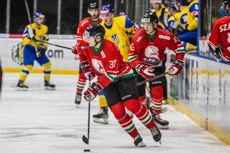 Ice Hockey. EIHC Christmas Cup. Hungary - Ukraine. 16.12.2021