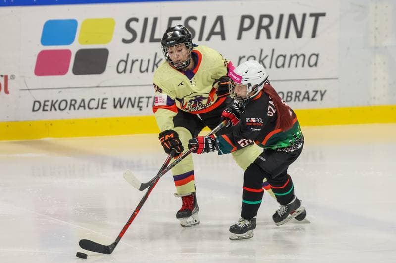 Ice Hockey. Tauron Liga Kobiet. Wiedzmy 71 Wroclaw - Kojotki Naprzod Janow. 03.12.2023
