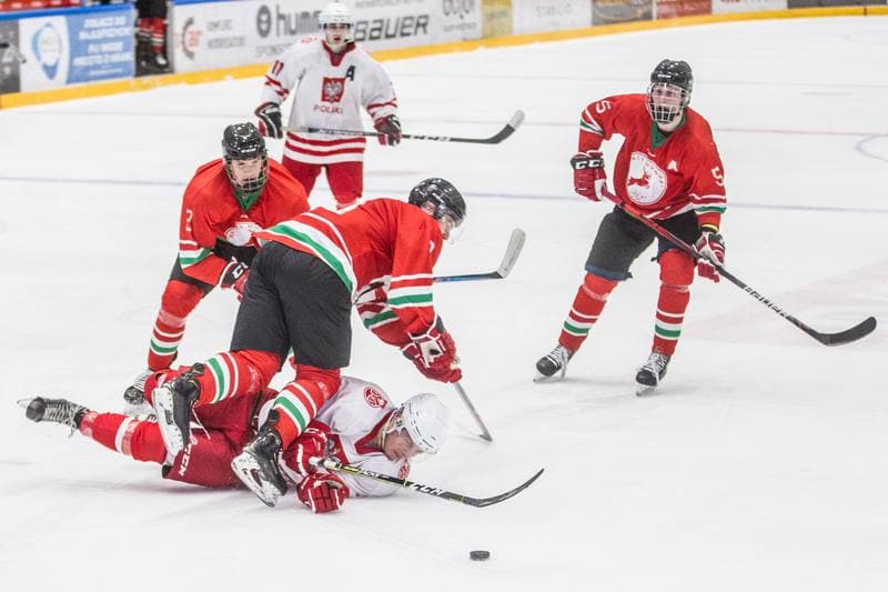 Ice Hockey. International Friendly. Poland U20 - Hungary U20. 08.04.2021