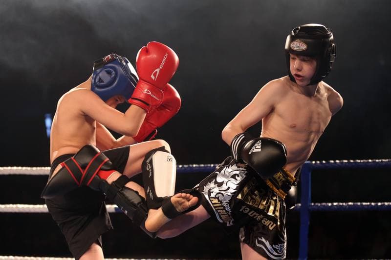 Kickboxing. WKN Challenge. Gala. 12.05.2017