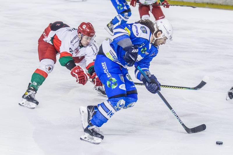 Ice Hockey. PHL. Zaglebie Sosnowiec - Re-Plast Unia Oswiecim. 10.01.2021