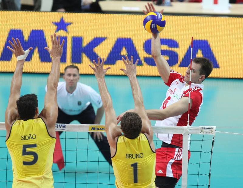 Volleyball. World League. Poland - Brazil. 03.06.2012