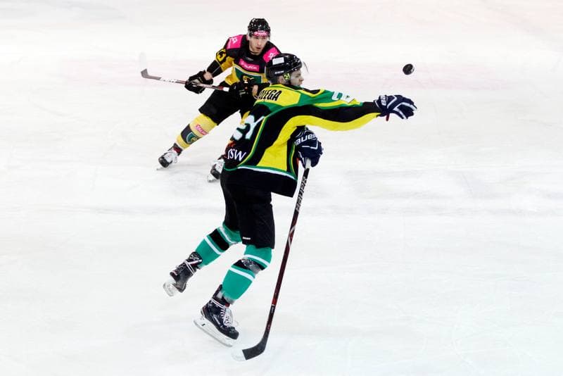 Ice Hockey. Tauron Hokej Liga. Tauron KH GKS Katowice - JKH GKS Jastrzebie. 16.01.2019