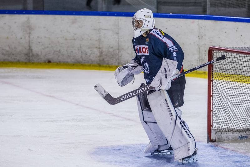 Ice Hockey. PHL. Naprzod Janow - Lotos Gdansk. 27.10.2019