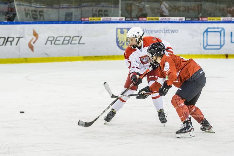 Ice Hockey. EWHL. Polska - KMH Budapeszt. 20.02.2021