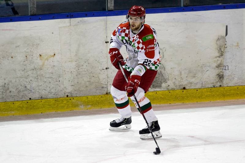 Ice Hockey. Polska Hokej Liga. Zaglebie Sosnowiec - MH Automatyka Gdansk. 02.01.2019