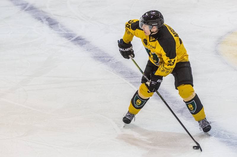 Ice Hockey. Polska Hokej Liga. GKS Katowice - Tauron Podhale Nowy Targ. 08.01.2021