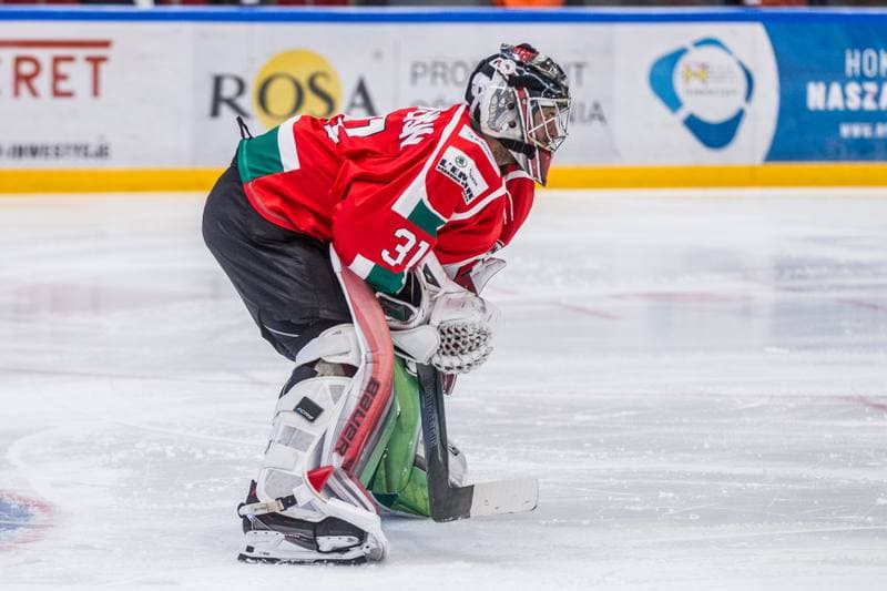 Ice Hockey. PHL. GKS Tychy - Zaglebie Sosnowiec. 17.01.2020