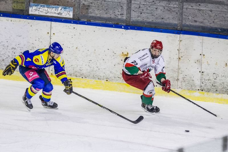 Ice Hockey. PHL. Zaglebie Sosnowiec - Tauron Podhale Nowy Targ. 22.01.2021