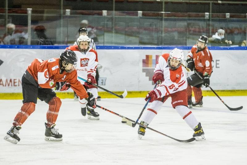 Ice Hockey. EWHL. Polska - KMH Budapeszt. 20.02.2021