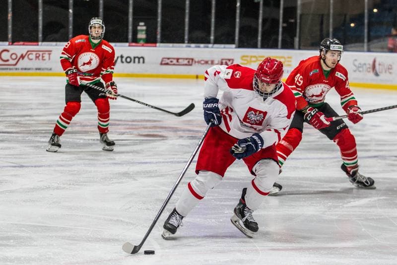 Ice Hockey. EIHC Christmas Cup. Poland - Hungary. 17.12.2021