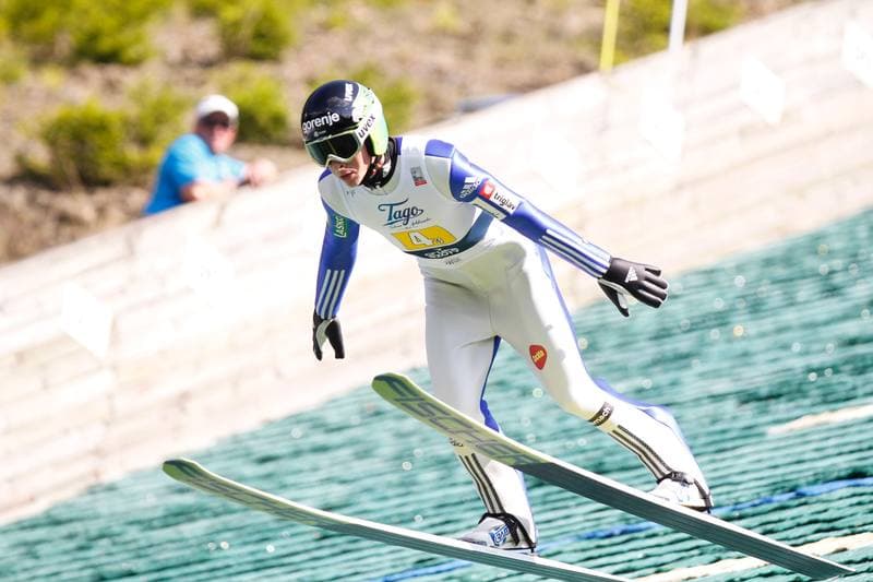 Ski Jumping. FIS Summer Grand Prix. Team Tournament. 22.07.2016
