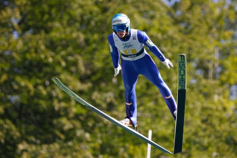 Ski Jumping. FIS Summer Grand Prix. Team Tournament. 22.07.2016