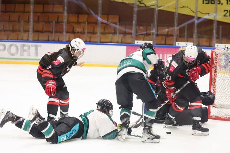 Ice Hockey. EWHL. Tauron Metropolia Silesia - KEHV Lakers. 04.02.2024