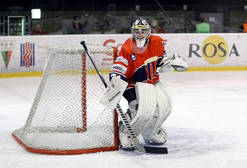 Ice Hockey. Tauron Hokej Liga. GKS Tychy - Polonia Bytom. 19.02.2016
