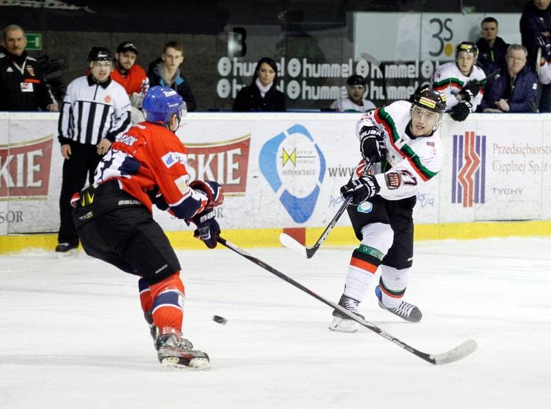 Ice Hockey. Tauron Hokej Liga. GKS Tychy - Polonia Bytom. 19.02.2016
