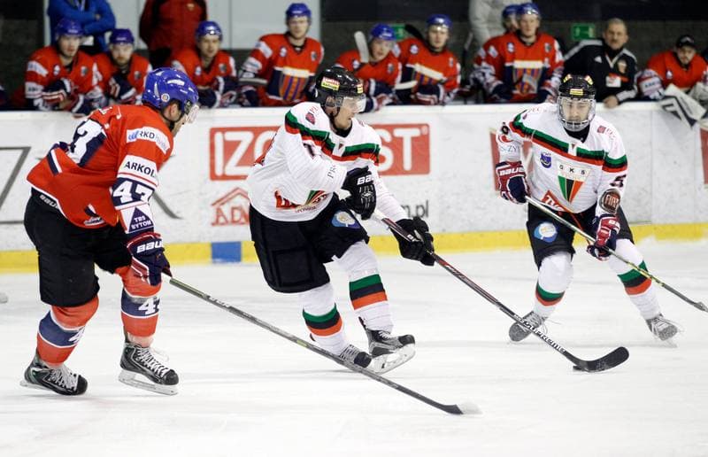 Ice Hockey. Tauron Hokej Liga. GKS Tychy - Polonia Bytom. 19.02.2016