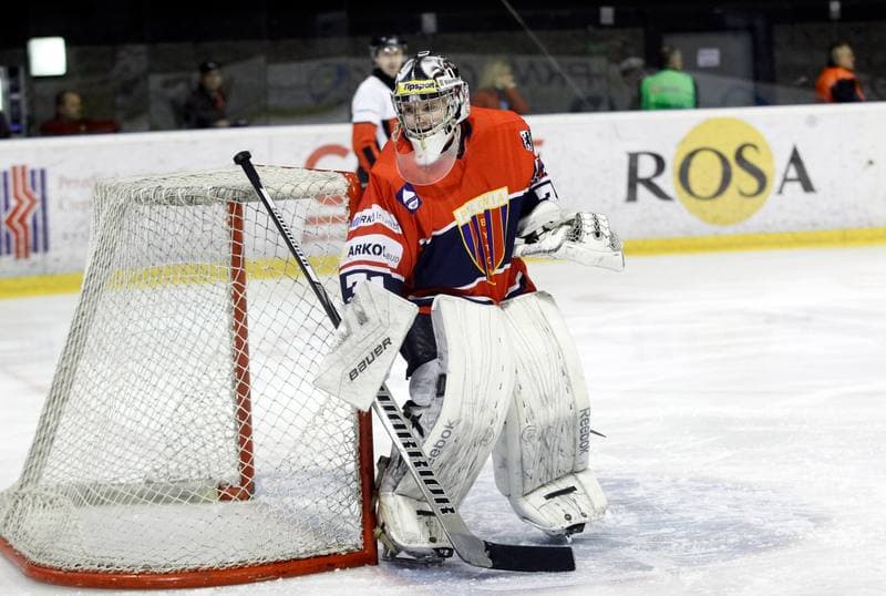 Ice Hockey. Tauron Hokej Liga. GKS Tychy - Polonia Bytom. 19.02.2016