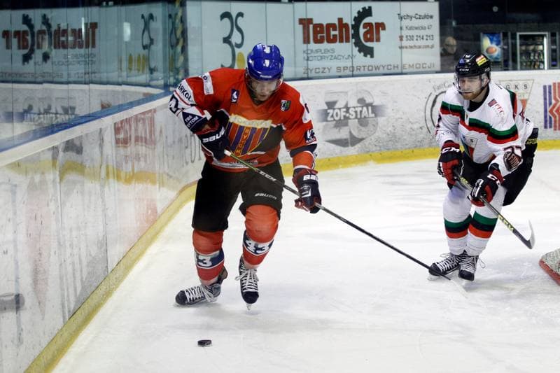 Ice Hockey. Tauron Hokej Liga. GKS Tychy - Polonia Bytom. 19.02.2016