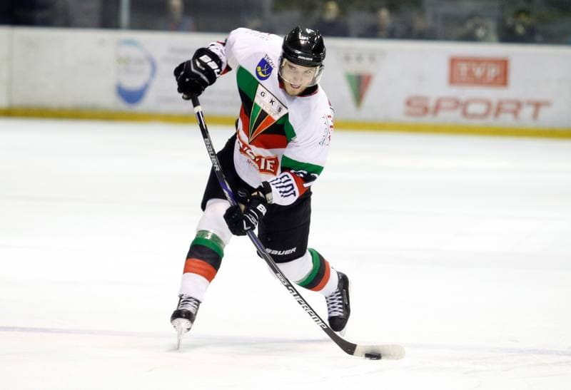 Ice Hockey. Polska Hokej Liga. GKS Tychy - JKH GKS Jastrzebie. 30.11.2014