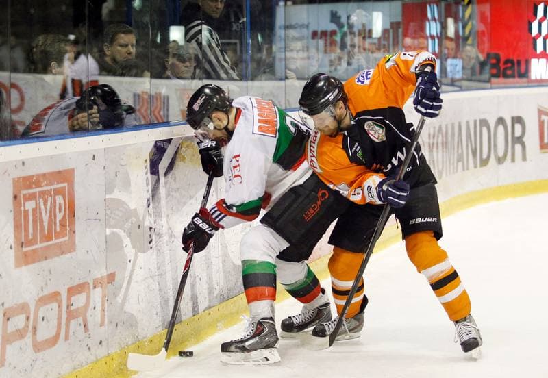 Ice Hockey. Polska Hokej Liga. GKS Tychy - JKH GKS Jastrzebie. 30.11.2014