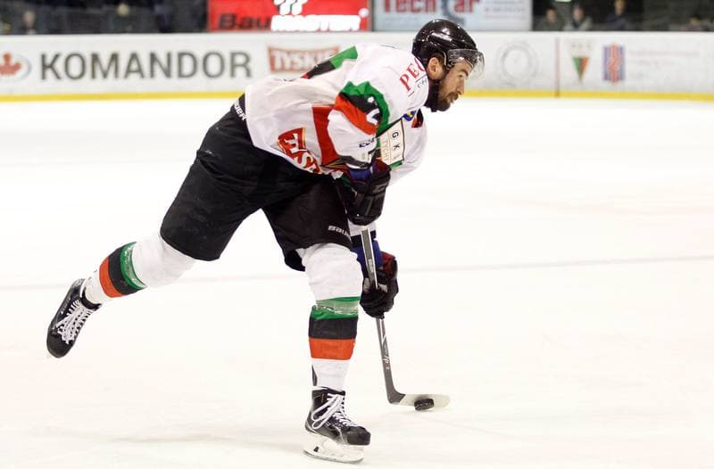 Ice Hockey. Polska Hokej Liga. GKS Tychy - JKH GKS Jastrzebie. 30.11.2014