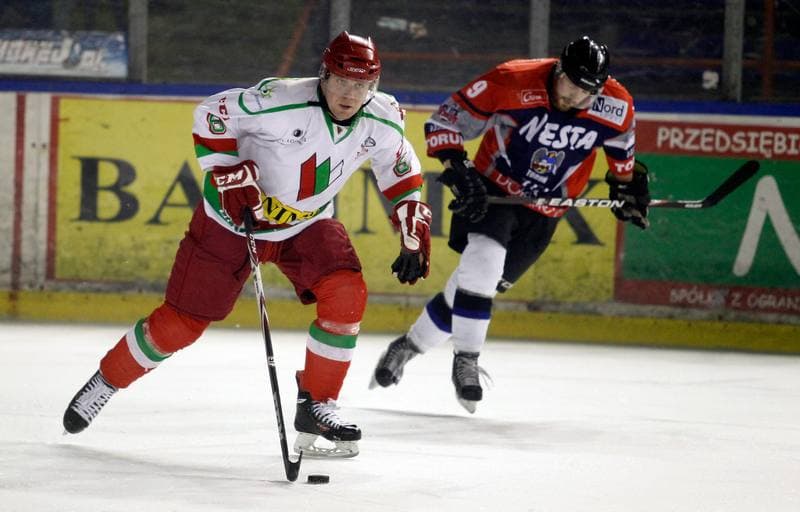 Ice Hockey. I Liga. Zaglebie Sosnowiec - Nesta Torun. 22.03.2015