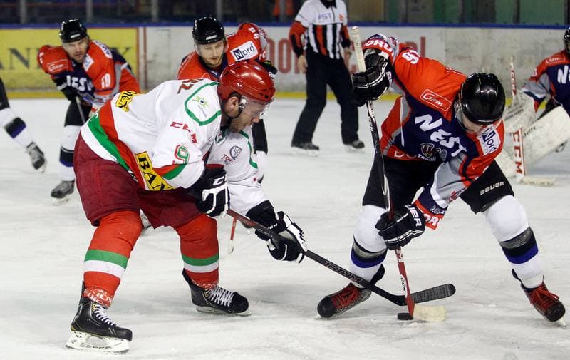 Ice Hockey. I Liga. Zaglebie Sosnowiec - Nesta Torun. 22.03.2015