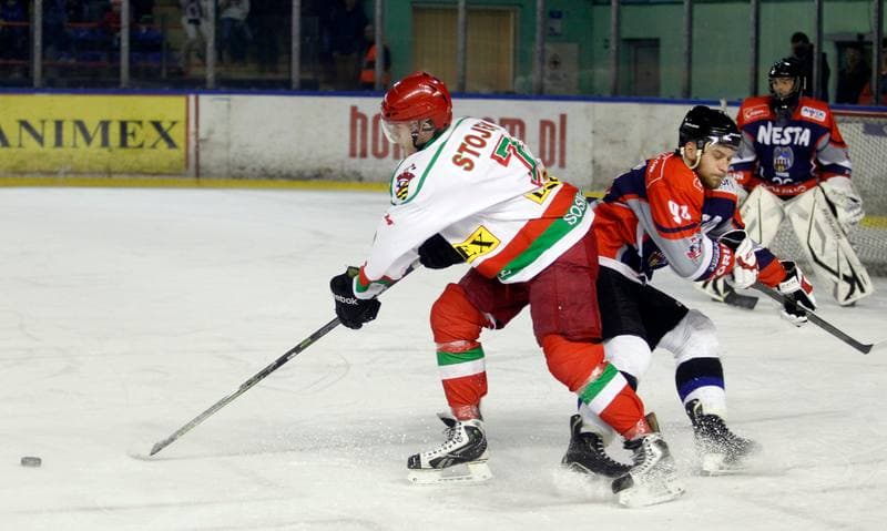 Ice Hockey. I Liga. Zaglebie Sosnowiec - Nesta Torun. 22.03.2015