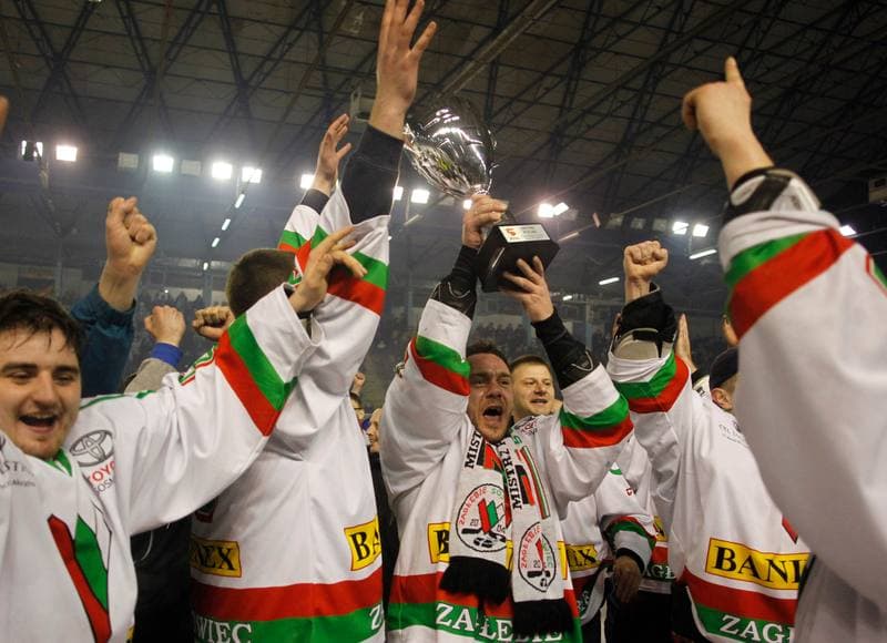 Ice Hockey. I Liga. Zaglebie Sosnowiec - Nesta Torun. 22.03.2015