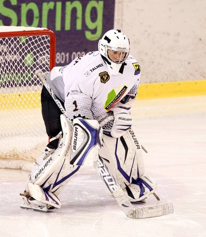 Ice Hockey. Polska Hokej Liga. Naprzod Janow - Polonia Bytom. 09.10.2014