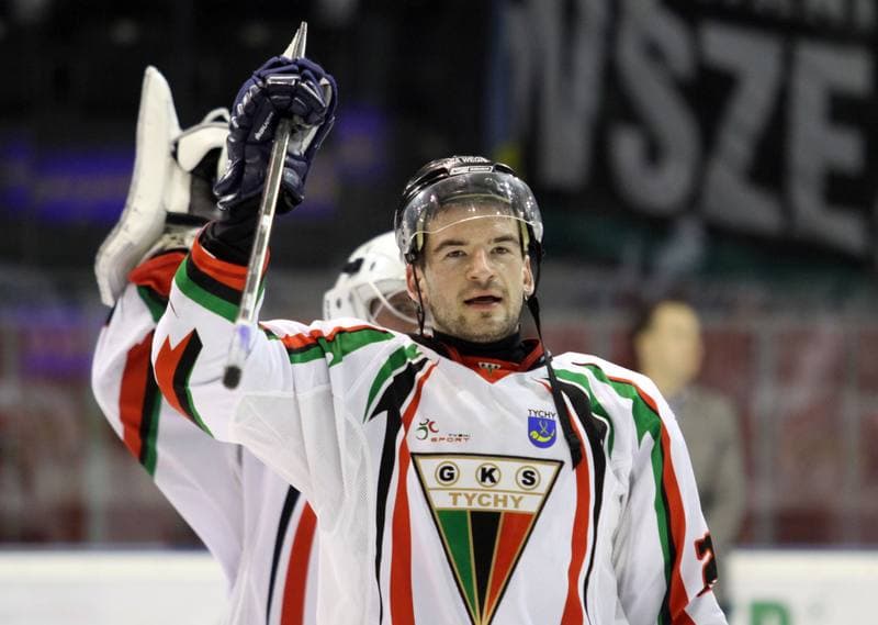Ice Hockey. Polska Hokej Liga. GKS Tychy - HC GKS Katowice. 18.02.2014