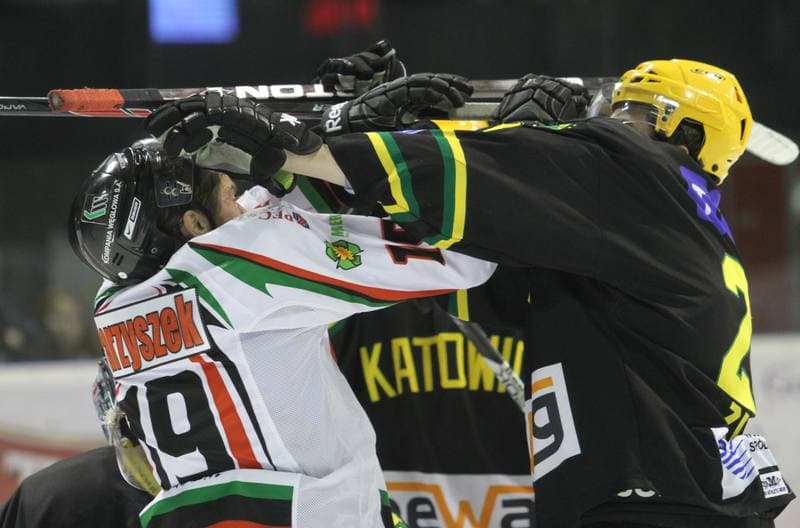 Ice Hockey. Polska Hokej Liga. GKS Tychy - HC GKS Katowice. 18.02.2014