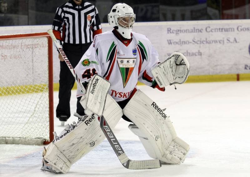 Ice Hockey. Polska Hokej Liga. GKS Tychy - HC GKS Katowice. 18.02.2014