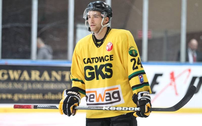 Ice Hockey. Polska Hokej Liga. HC GKS Katowice - Polonia Bytom. 01.02.2015