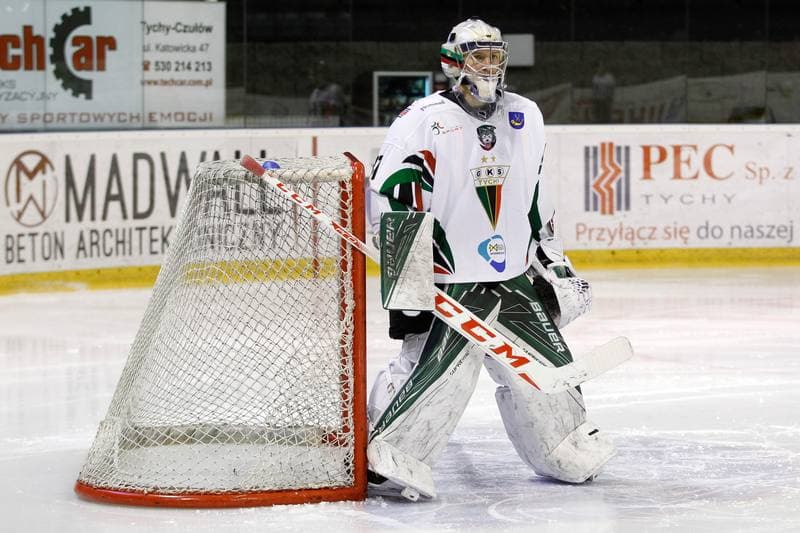 Ice Hockey. Polska Hokej Liga. GKS Tychy - Tatryski Podhale Nowy Targ. 03.01.2017