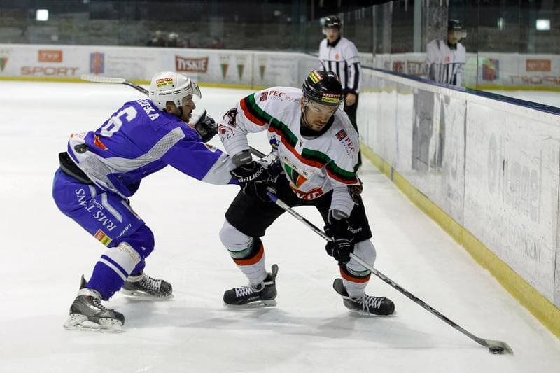 Ice Hockey. PHL. GKS Tychy - Unia Oswiecim. 22.01.2016