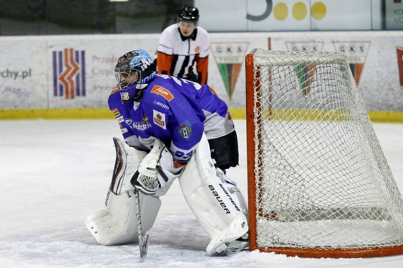 Ice Hockey. PHL. GKS Tychy - Unia Oswiecim. 22.01.2016
