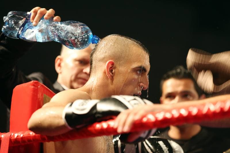 Kickboxing. WKN Challenge. Gala. 12.05.2017
