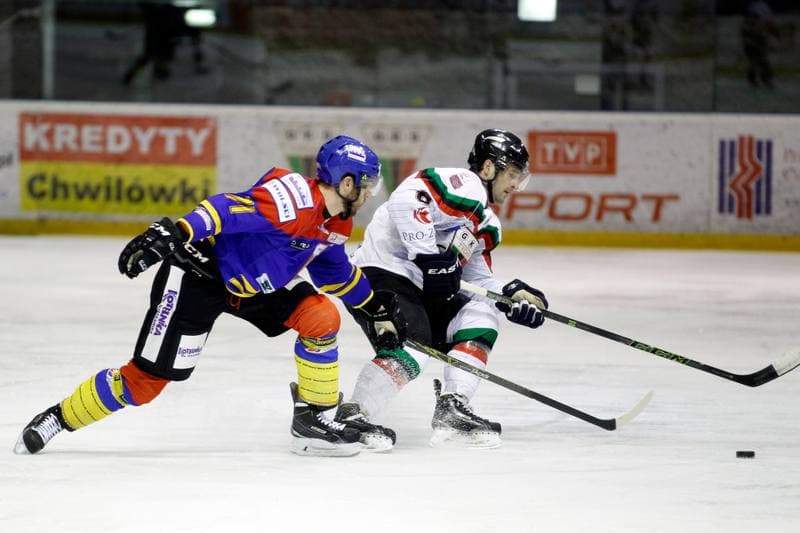 Ice Hockey. Polska Hokej Liga. GKS Tychy - Podhale Nowy Targ. 29.01.2016