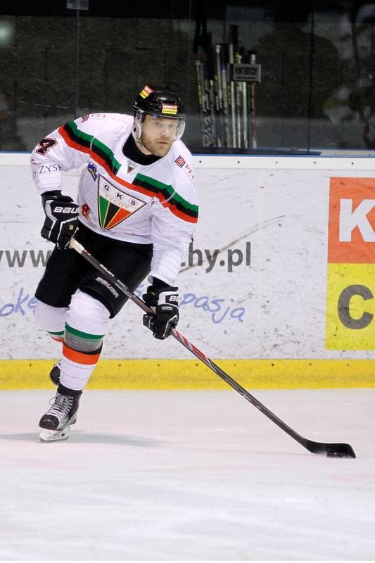 Ice Hockey. Polska Hokej Liga. GKS Tychy - Podhale Nowy Targ. 29.01.2016