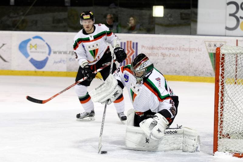 Ice Hockey. Polska Hokej Liga. GKS Tychy - Podhale Nowy Targ. 29.01.2016