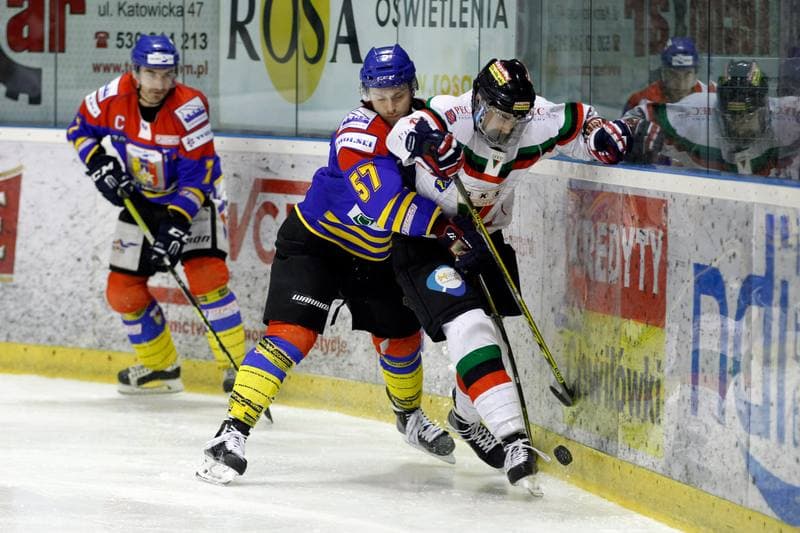 Ice Hockey. Polska Hokej Liga. GKS Tychy - Podhale Nowy Targ. 29.01.2016