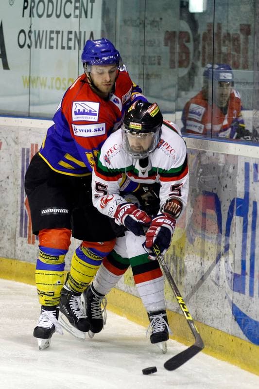 Ice Hockey. Polska Hokej Liga. GKS Tychy - Podhale Nowy Targ. 29.01.2016
