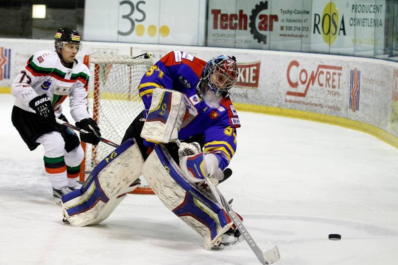 Ice Hockey. Polska Hokej Liga. GKS Tychy - Podhale Nowy Targ. 29.01.2016