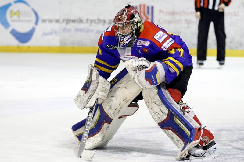 Ice Hockey. Polska Hokej Liga. GKS Tychy - Podhale Nowy Targ. 29.01.2016