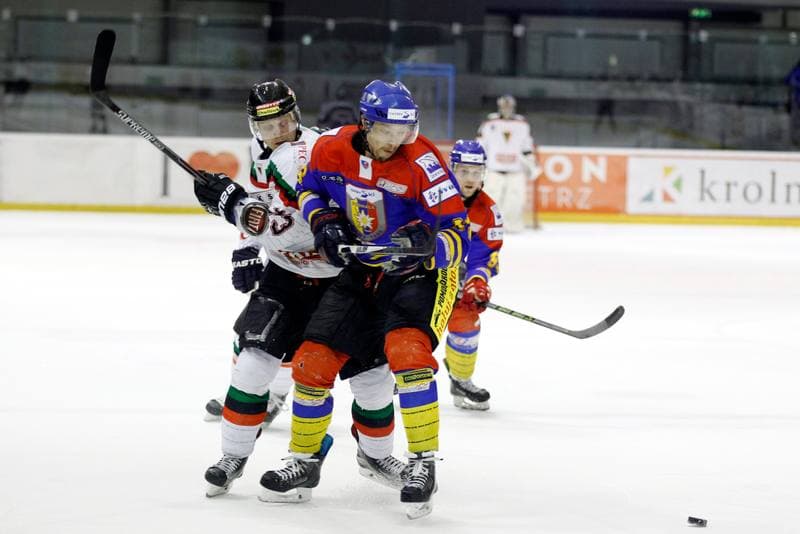 Ice Hockey. Polska Hokej Liga. GKS Tychy - Podhale Nowy Targ. 29.01.2016