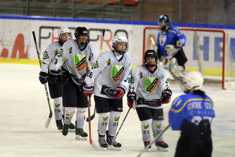 Ice Hockey. PLHK. Naprzod Janow - Unia Oswiecim. 23.09.2017