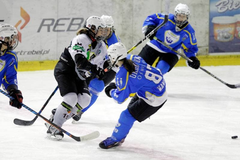 Ice Hockey. PLHK. Naprzod Janow - Unia Oswiecim. 20.01.2018