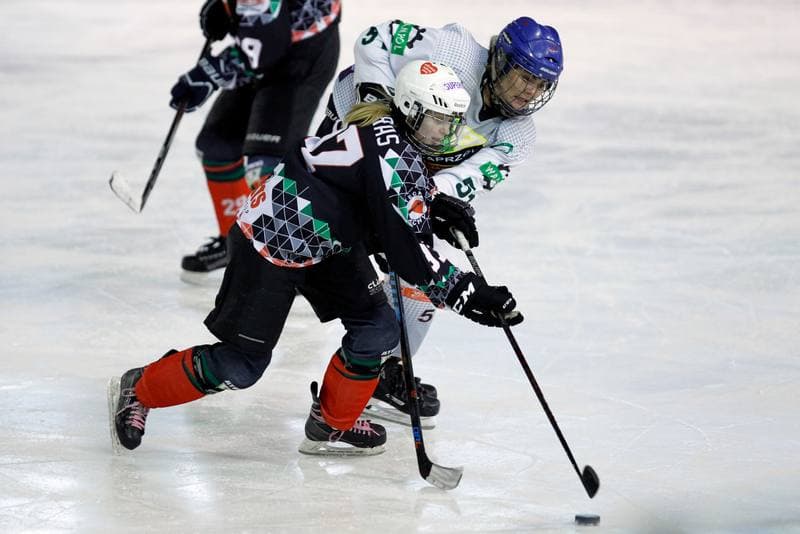 Ice Hockey. PLHK. Naprzod Janow - Atomowki Tychy. 03.02.2018